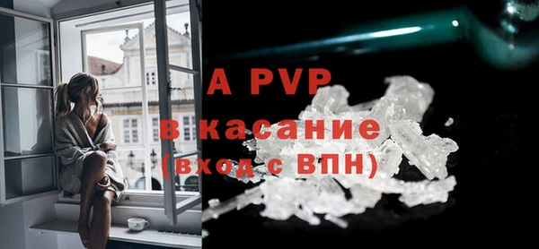 твердый Абаза