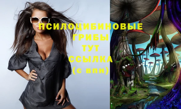 твердый Абаза