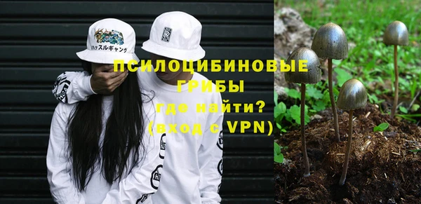 гидропоника Медвежьегорск