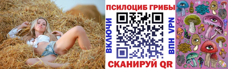 наркота  OMG ССЫЛКА  Галлюциногенные грибы Psilocybe  Шилка 